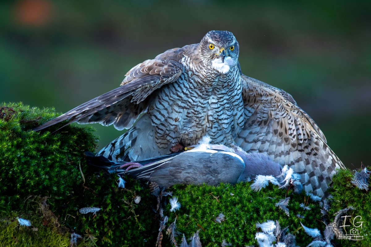 1DX43028 21 november 2021 1122 56